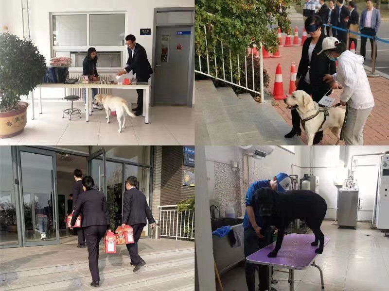 20191101二支部导盲犬活动1.jpg